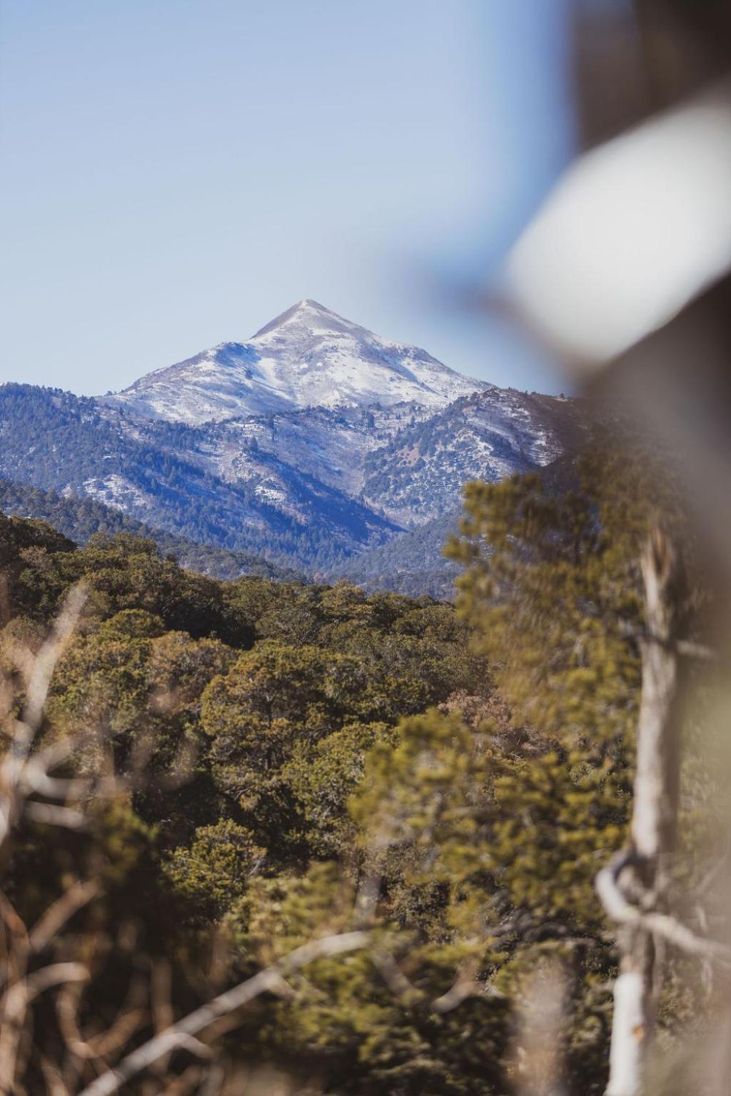 Zia Geo Dome At El Mistico Ranch, Glamping Villa Nogal Exteriör bild